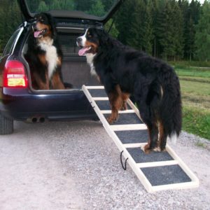 Easy-Hopper Hunderampe Komfort Natur mit Rasenbelag