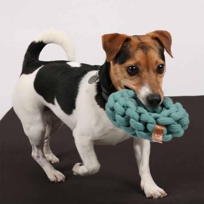 D&D Baumwollring Ben - blau - 13 x 13 x 4,5cm – Bild 5