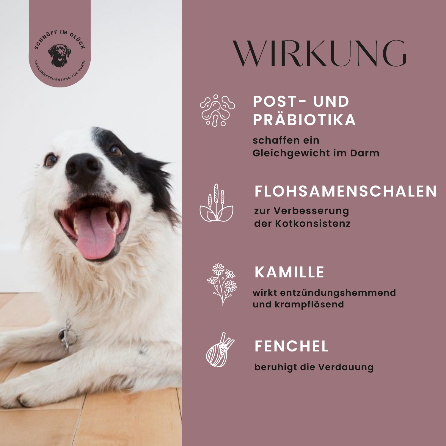 Funktionsleckerli • Magen & Darm Formel – Bild 6