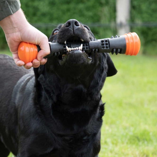 Dog Comets Meteor Wurfstock - Orange / S – Bild 3